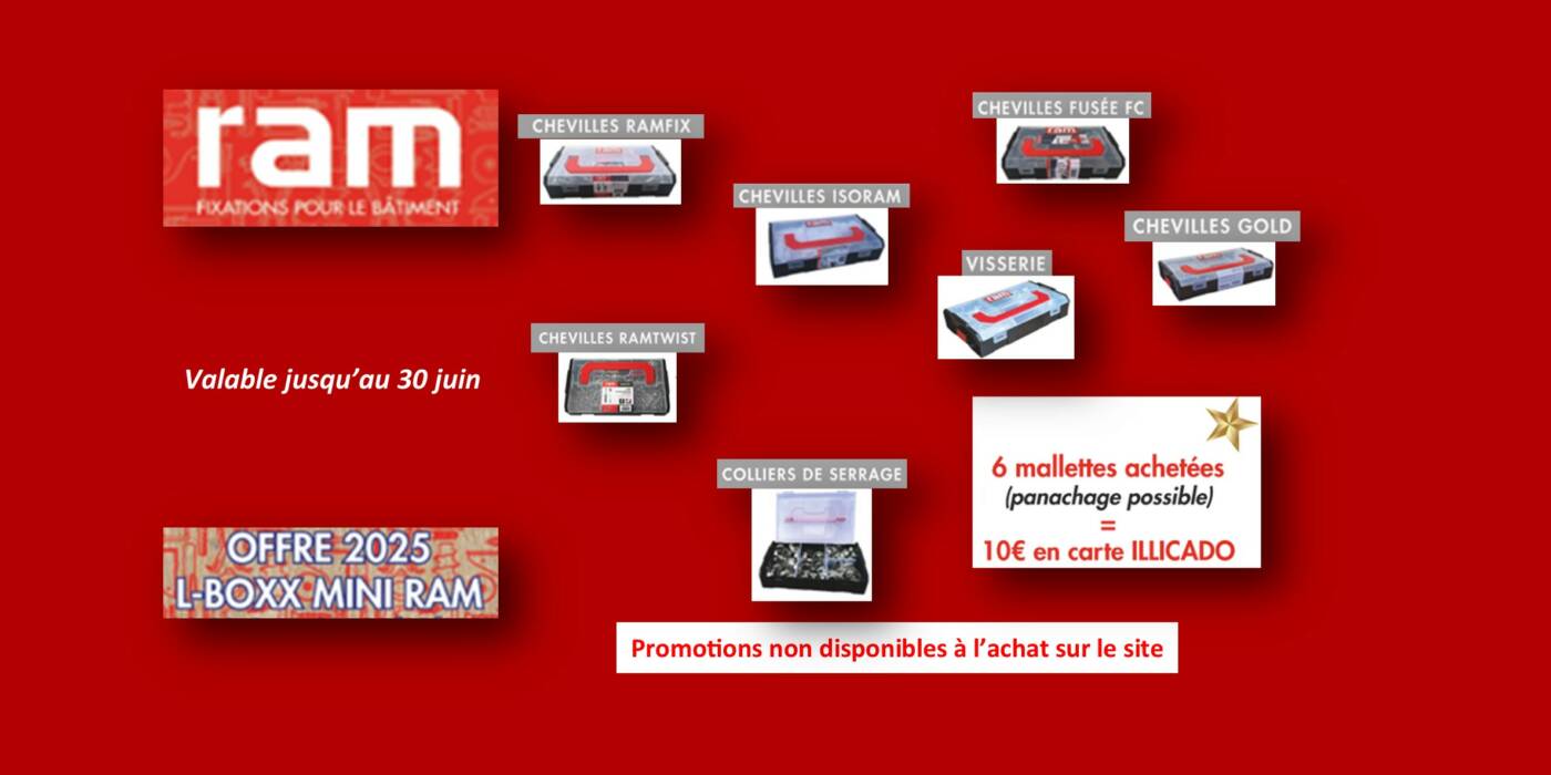 Offre 2025 L-BOXX MINI RAM